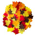 Maple Leaf Tissue Paper Confetti (1lb) - Ultimate Confetti